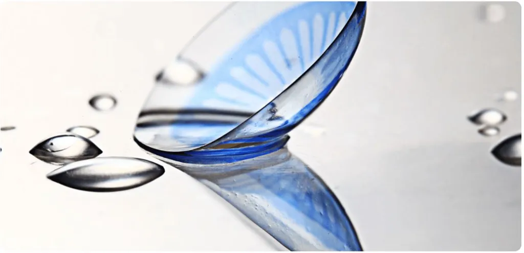 WhatsApp Image 2025-11-16 at 11.46.44.webp